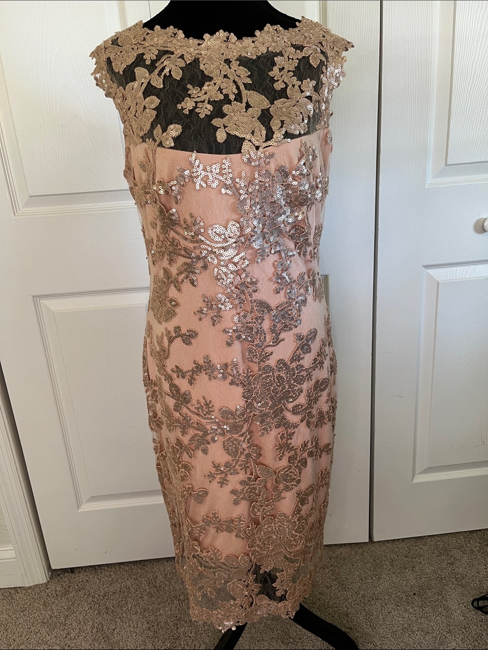 Tadashi Shoji Blush Champagne Sequined Lace Overlay Cocktail Formal Dress 8